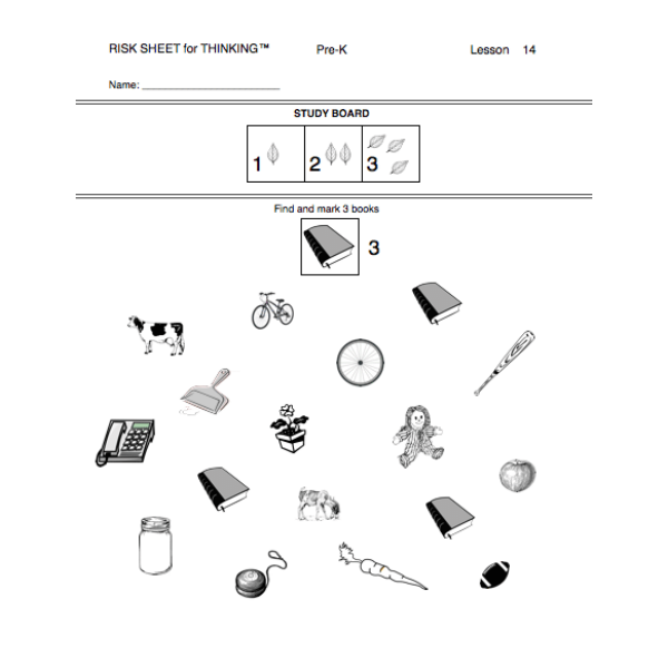 Risk Sheet for Thinking - 4